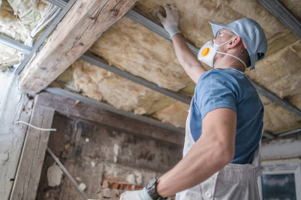 Best Blown-in Insulation  in Pine Bush, NY