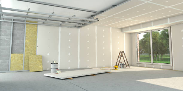 Best Insulation Removal  in Pine Bush, NY