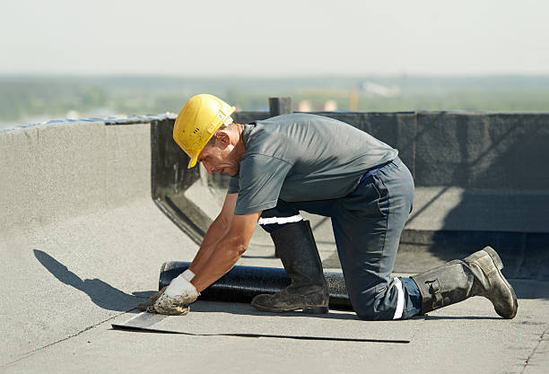 Best Affordable Insulation Services  in Pine Bush, NY