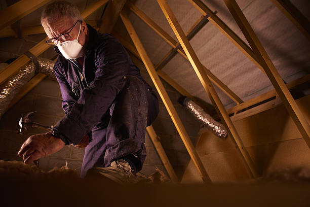 Best Professional Insulation Contractor  in Pine Bush, NY