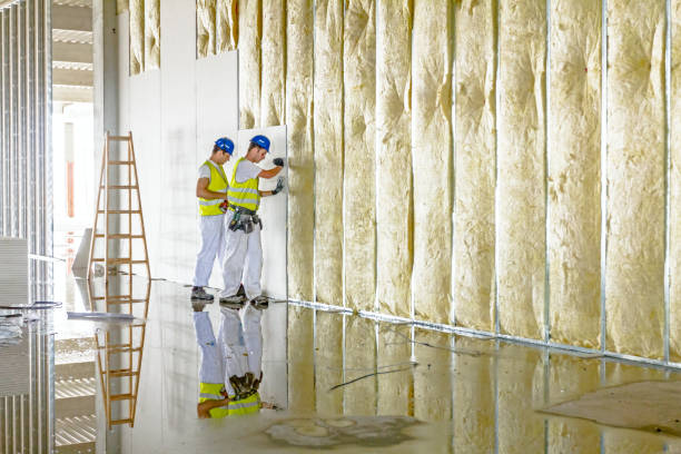 Best Insulation Replacement Services  in Pine Bush, NY